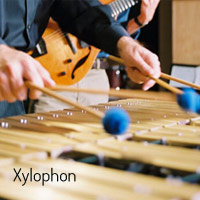 Xyophon